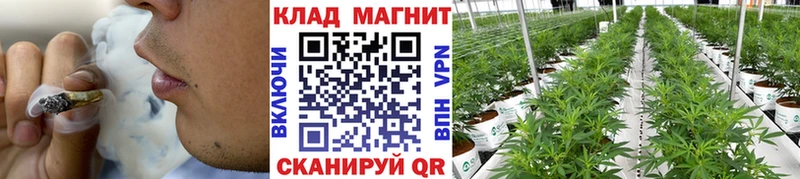 Купить наркотик аптеки Сосновый Бор A-PVP Галлюциногенные грибы МЕФ Гашиш КОКАИН Каннабис