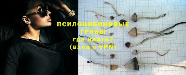 сатива Киреевск