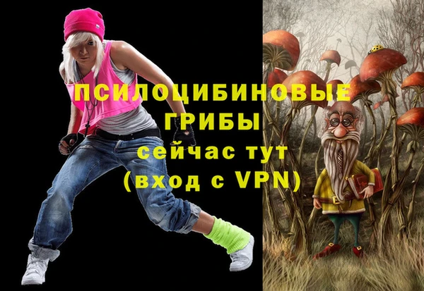ешки Алексин