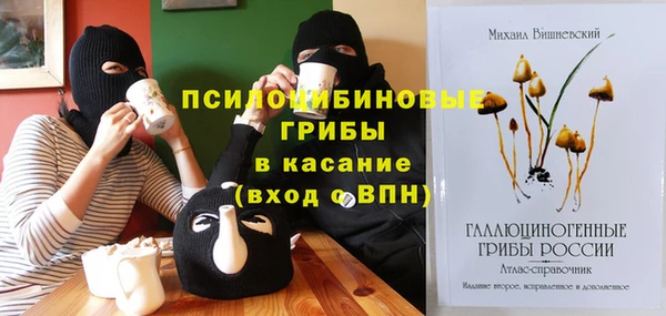 эйфоретик Алзамай